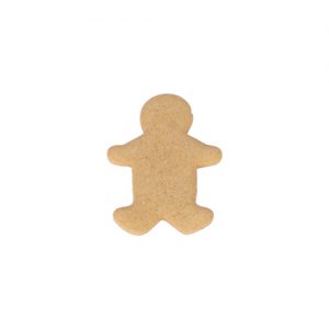 gingerbread_products-flat_boy_500px-copy